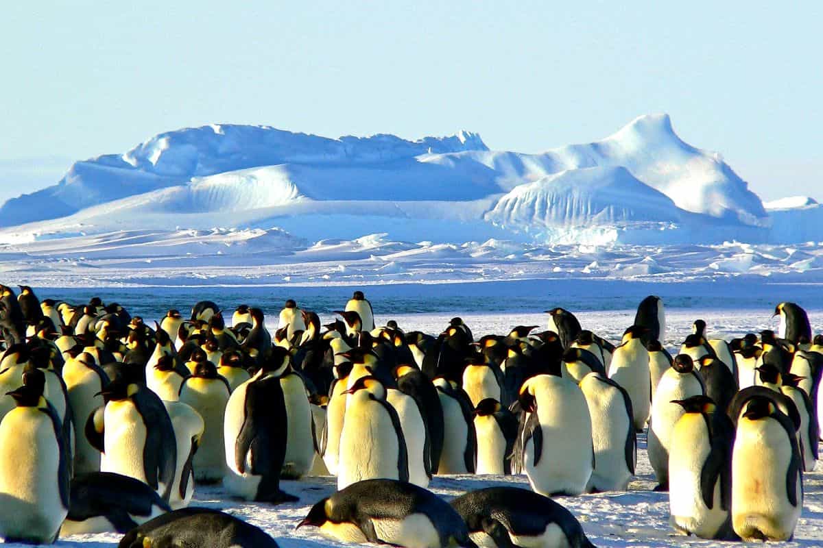 wildlife adventure tours 