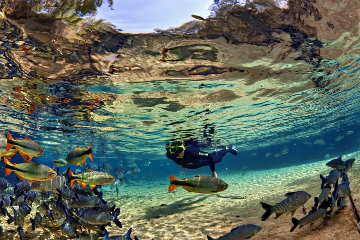 best things to do in Bonito
