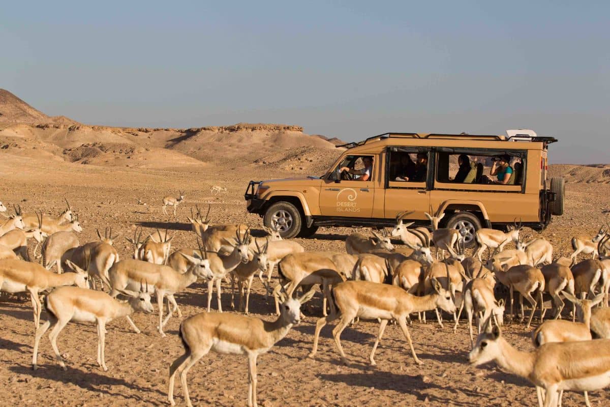 Abu Dhabi