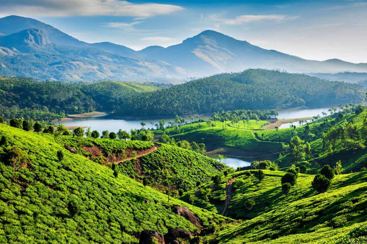 Munnar in December 