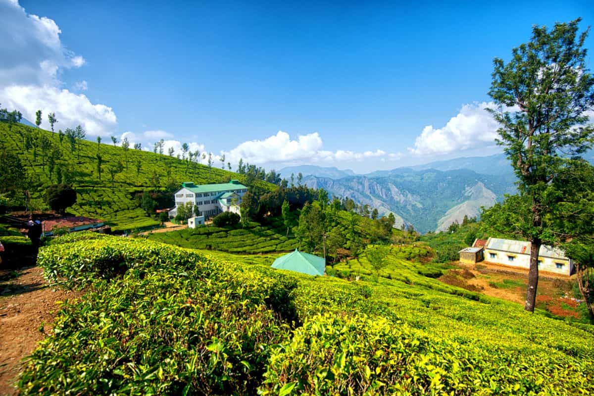 Munnar in December 
