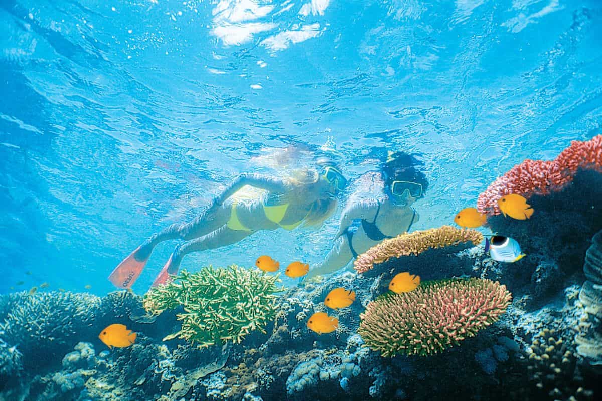 Whitsunday Islands snorkelling