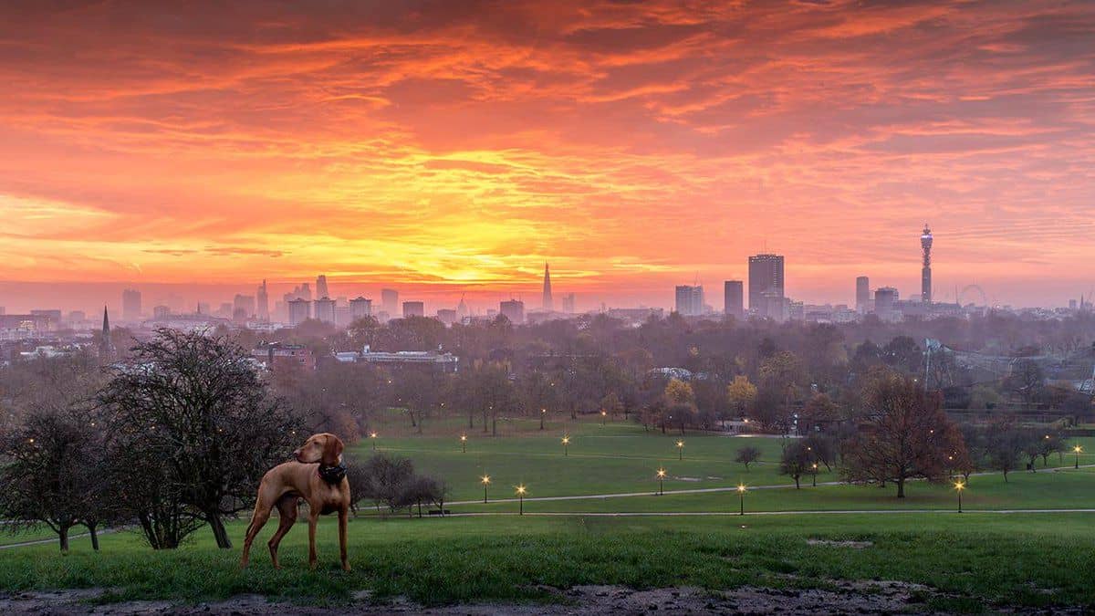 London sunsets 