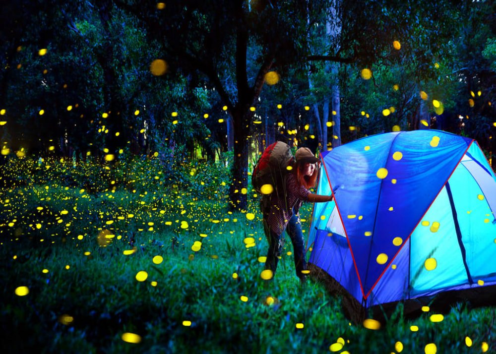 camp mumbai