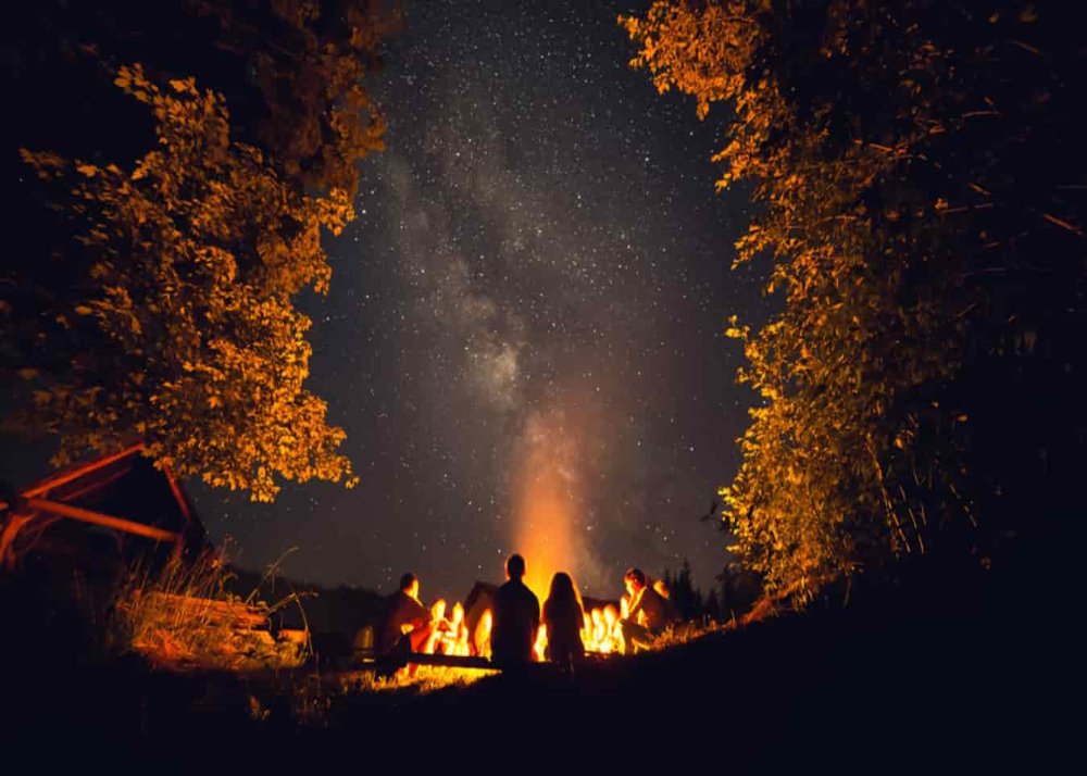 jungle camp near mumbai