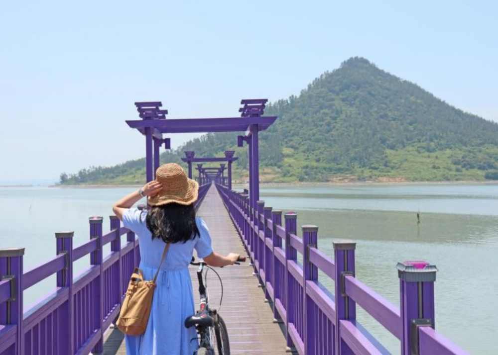 purple islands korea