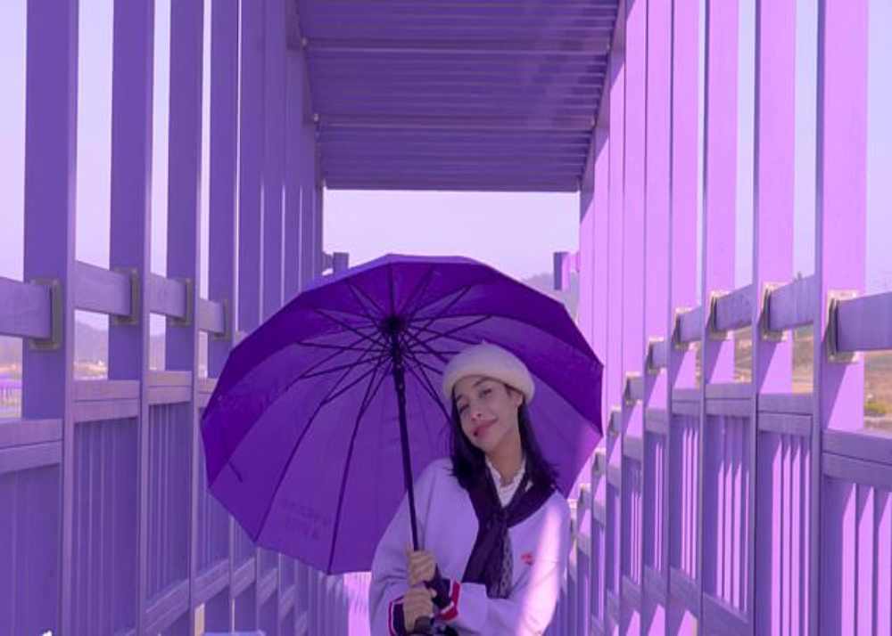 purple islands korea