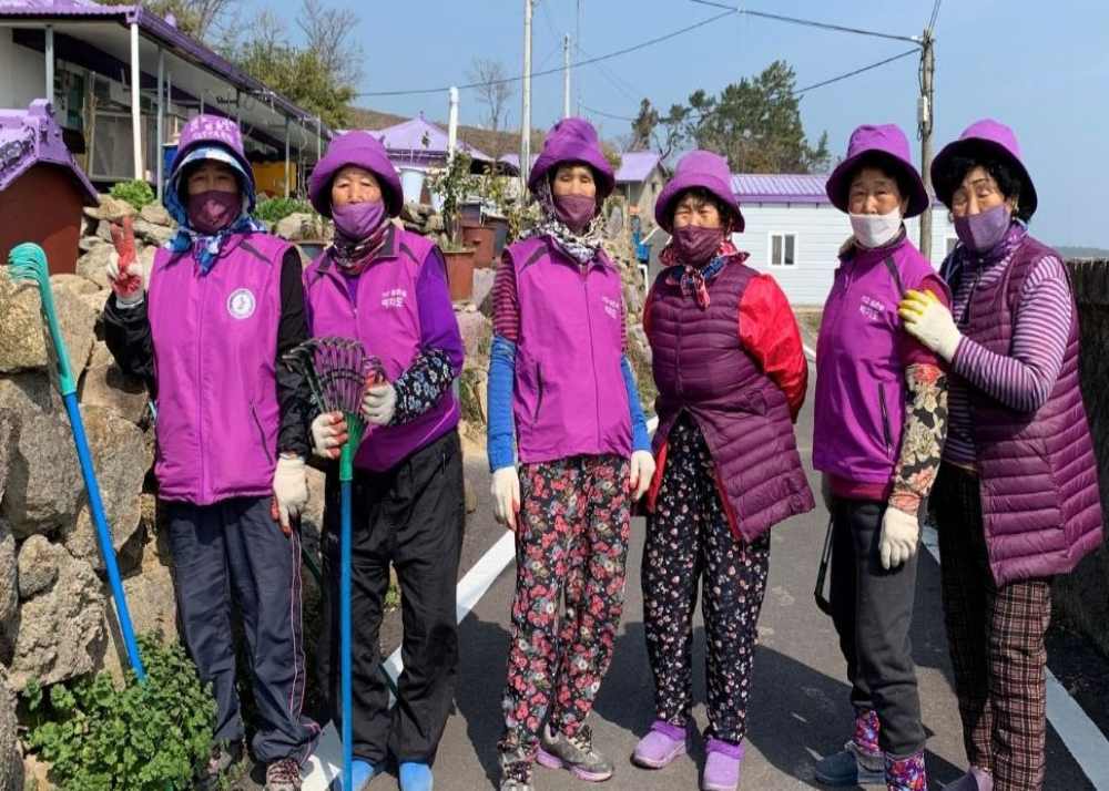 purple islands south korea