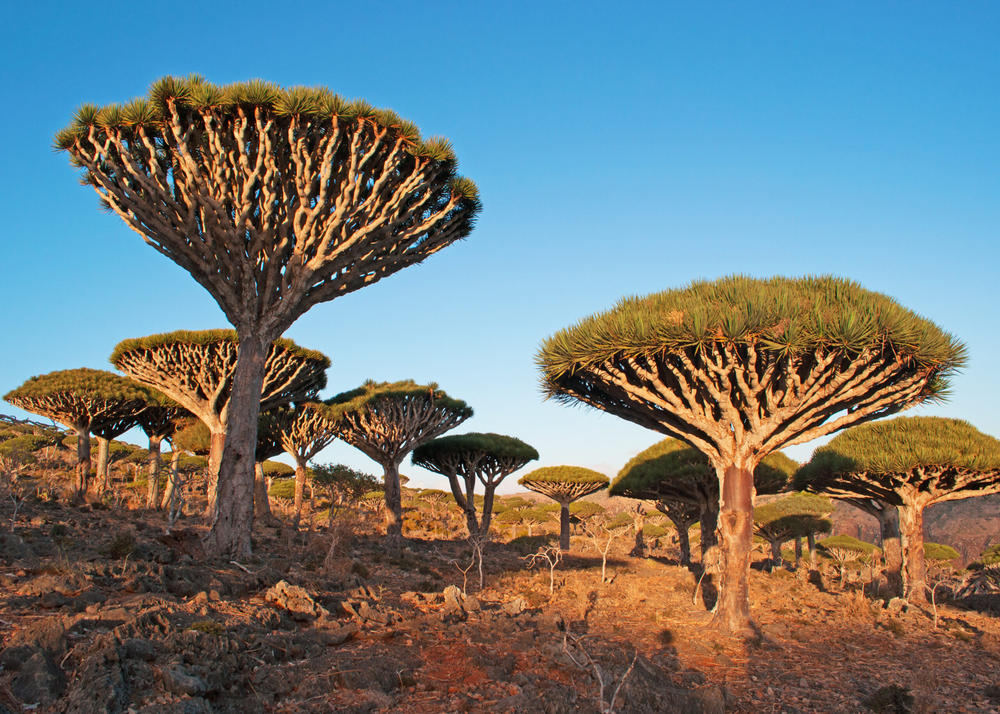unusual places to visit 