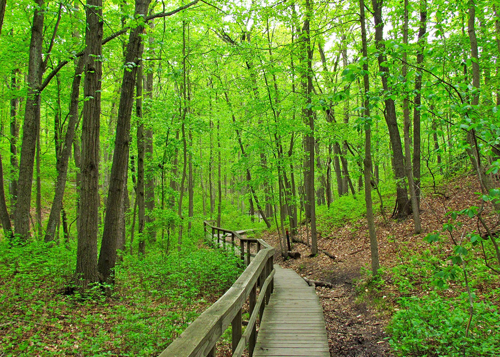 Best Places To Hike Near Toronto For Unforgettable Hiking Journey