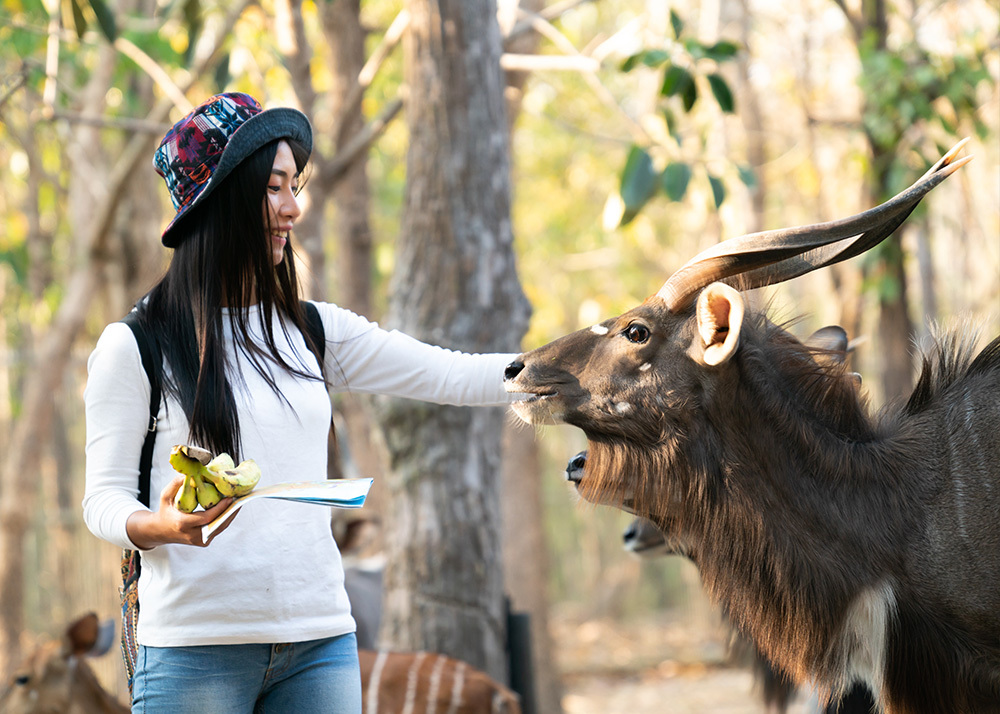 Nature & Wildlife Areas in Hong Kong