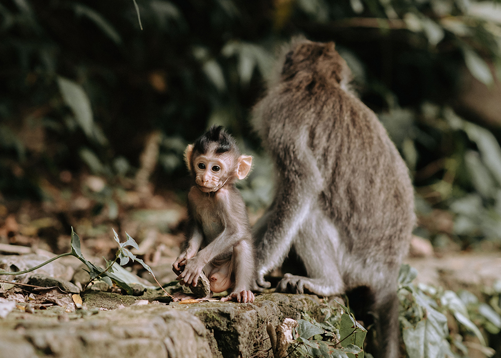 best places to visit in bali