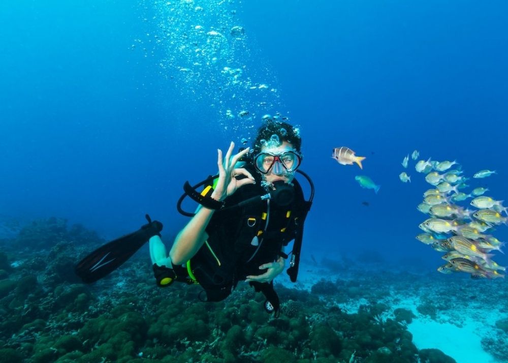 Marine Wildlife 