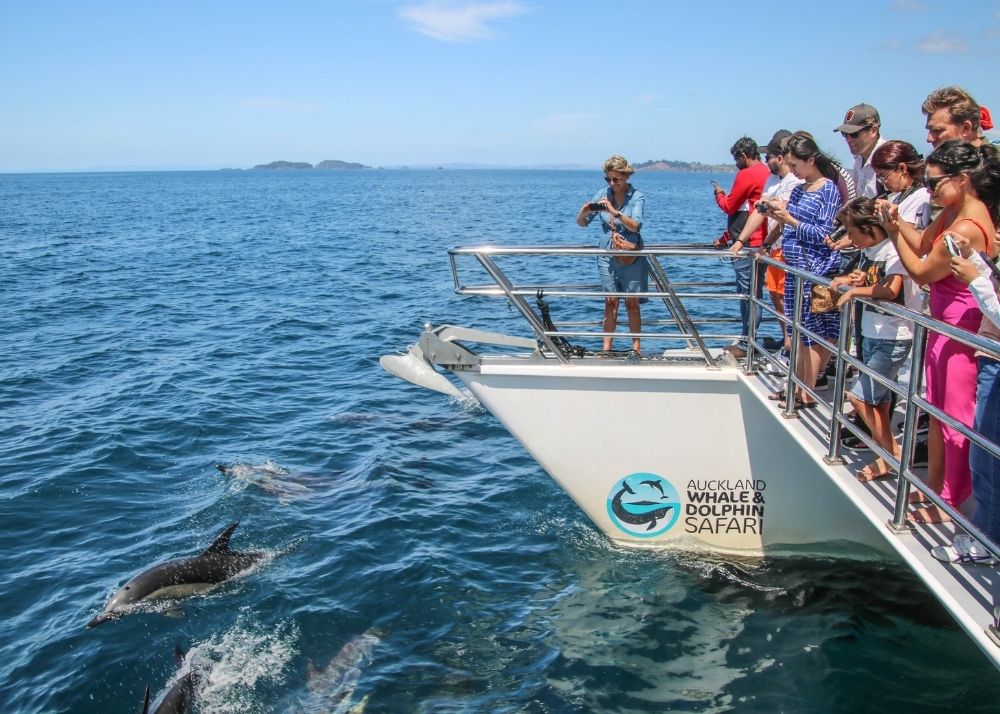  Hauraki Gulf Marine Park Island