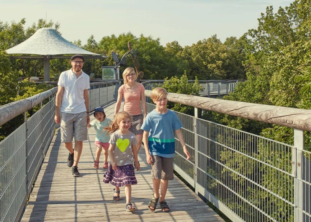 Hainich National Park