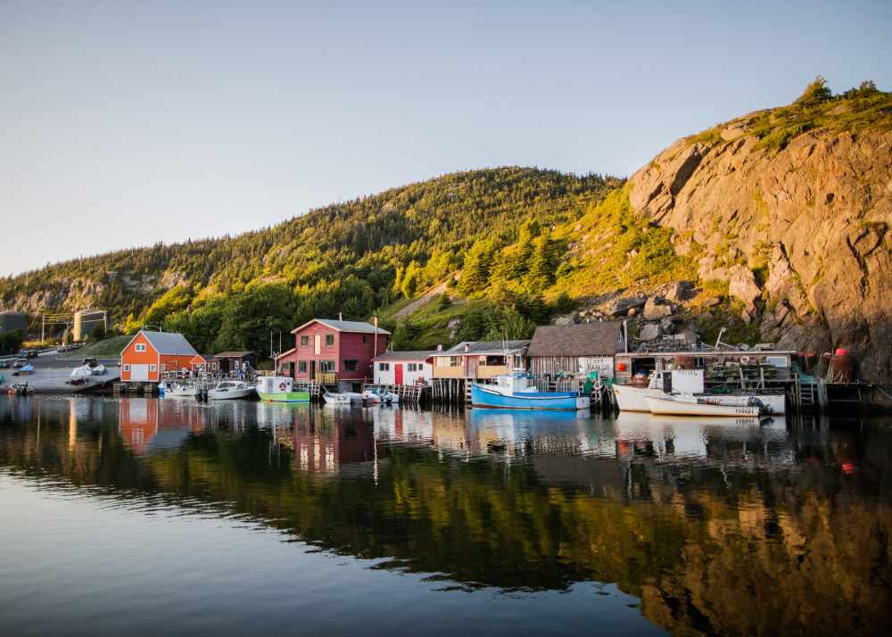 vacationing in newfoundland