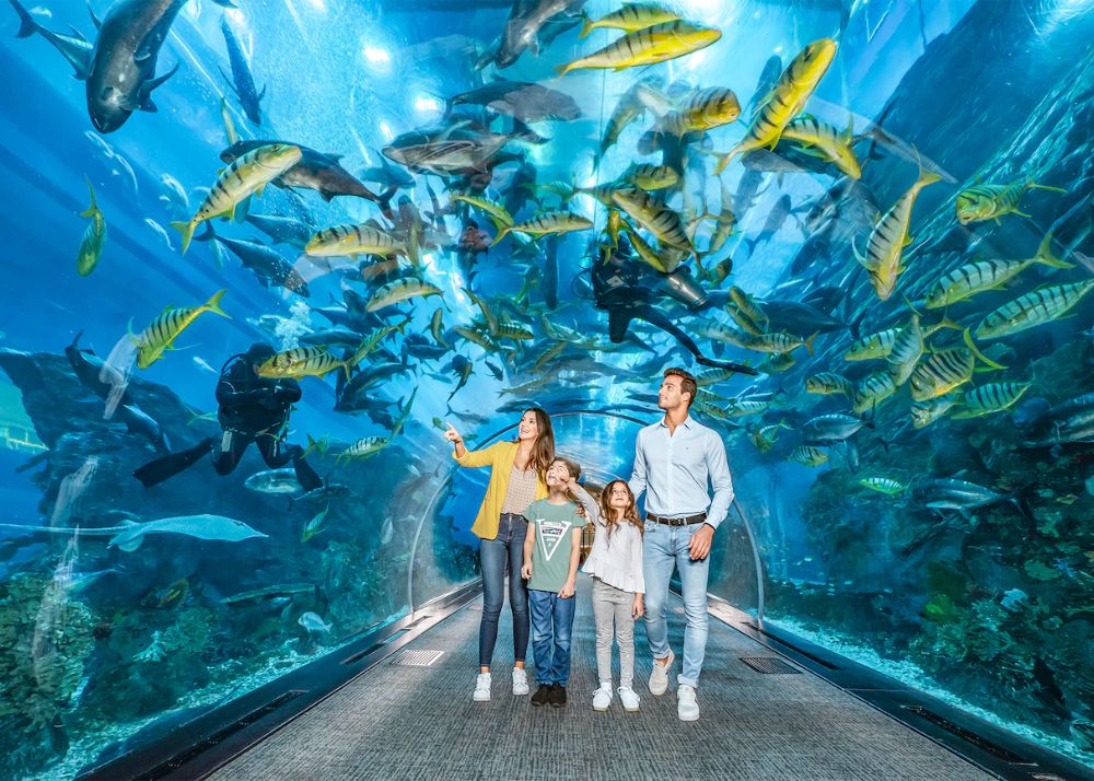 Underwater Zoo Dubai