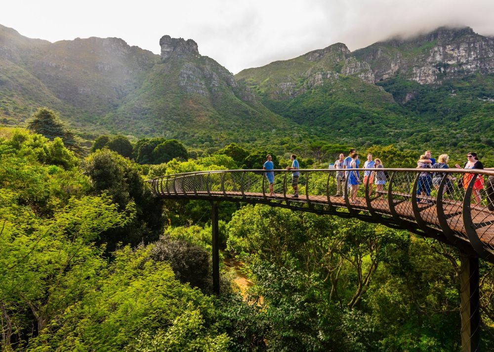 Kirstenbosch National Botanical Gardens