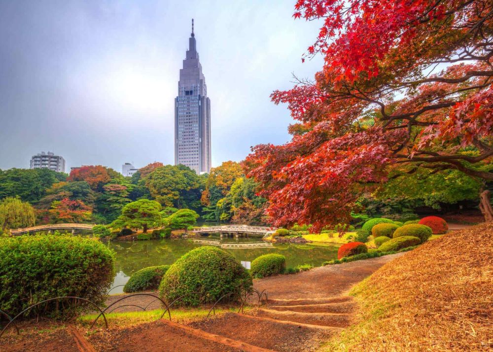 Shinjuku Gyoen park