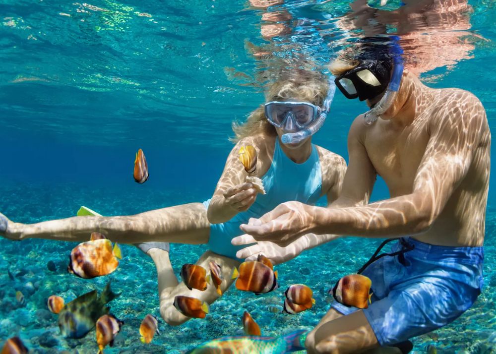 snorkelling in maafushi