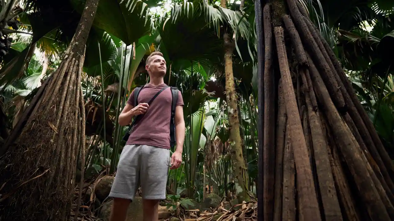 The Amazon