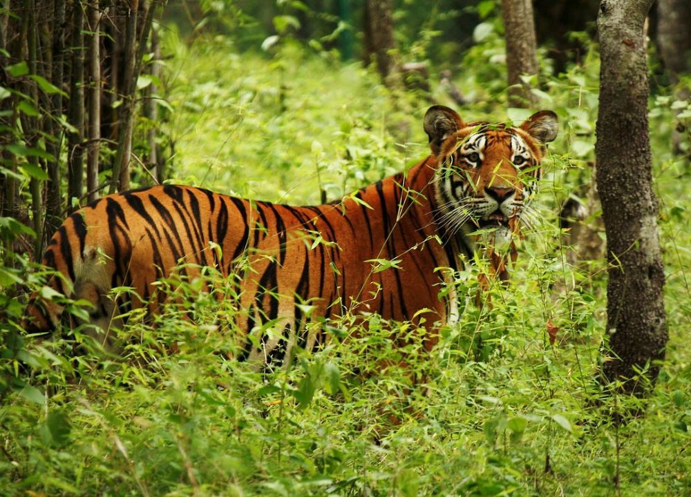 amazing places to visit near Kathmandu