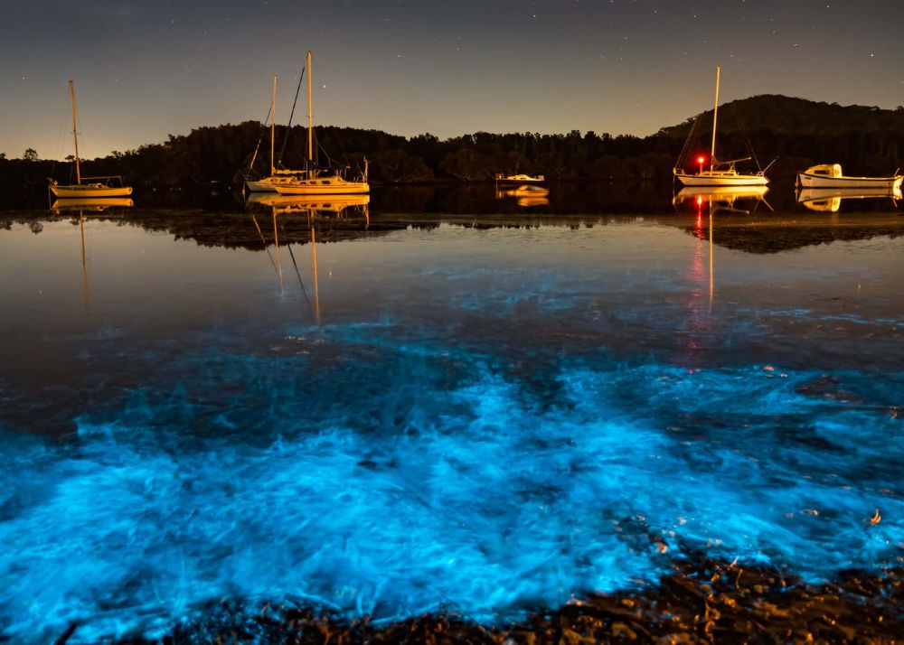 Glowing Beaches Across the world