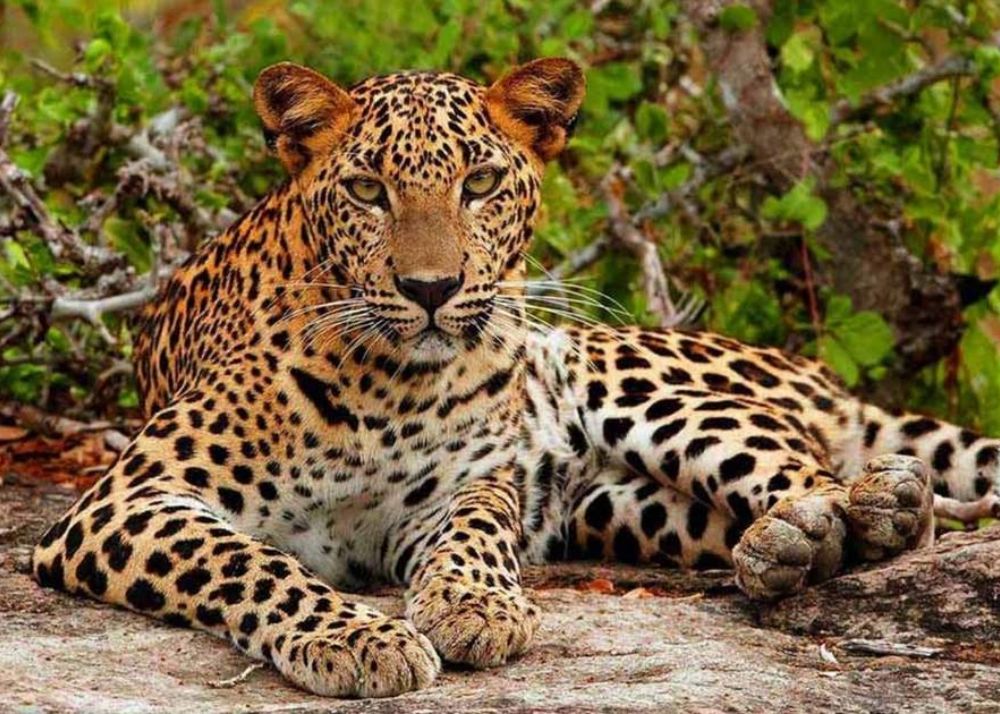 Places to visit in Sri Lanka