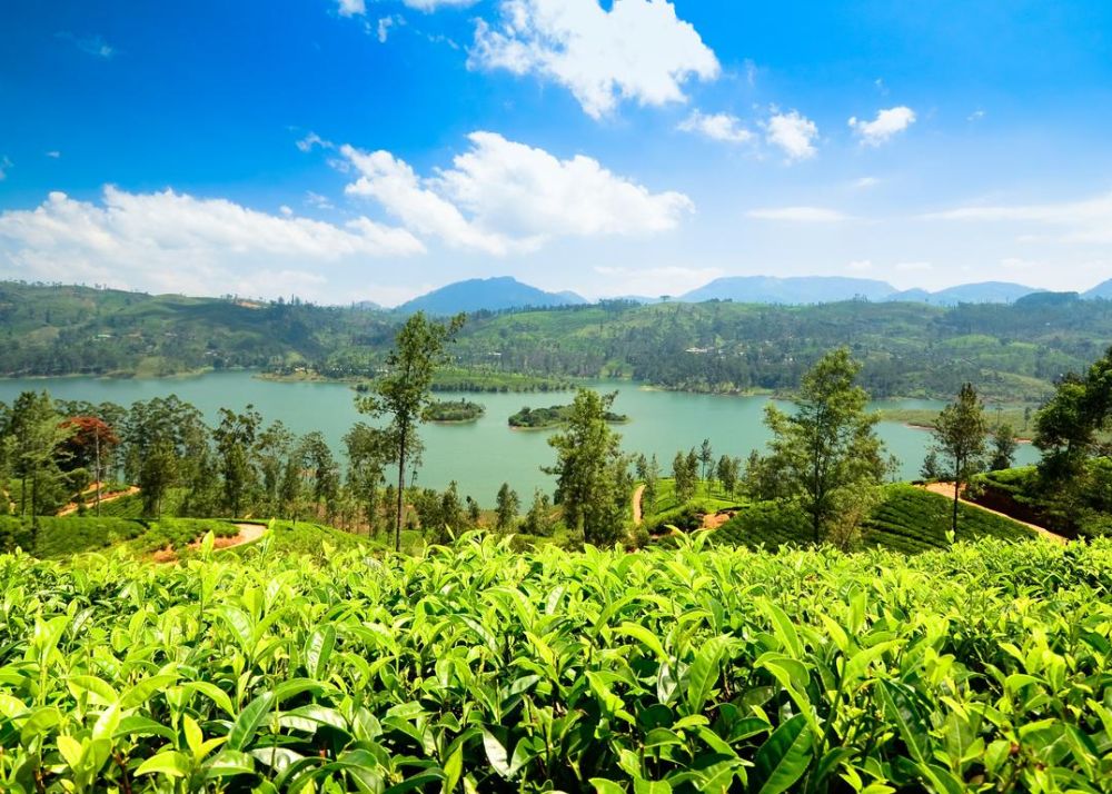 Sri Lanka