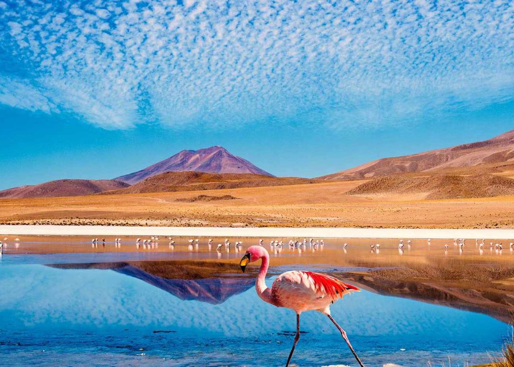 best desert destinations