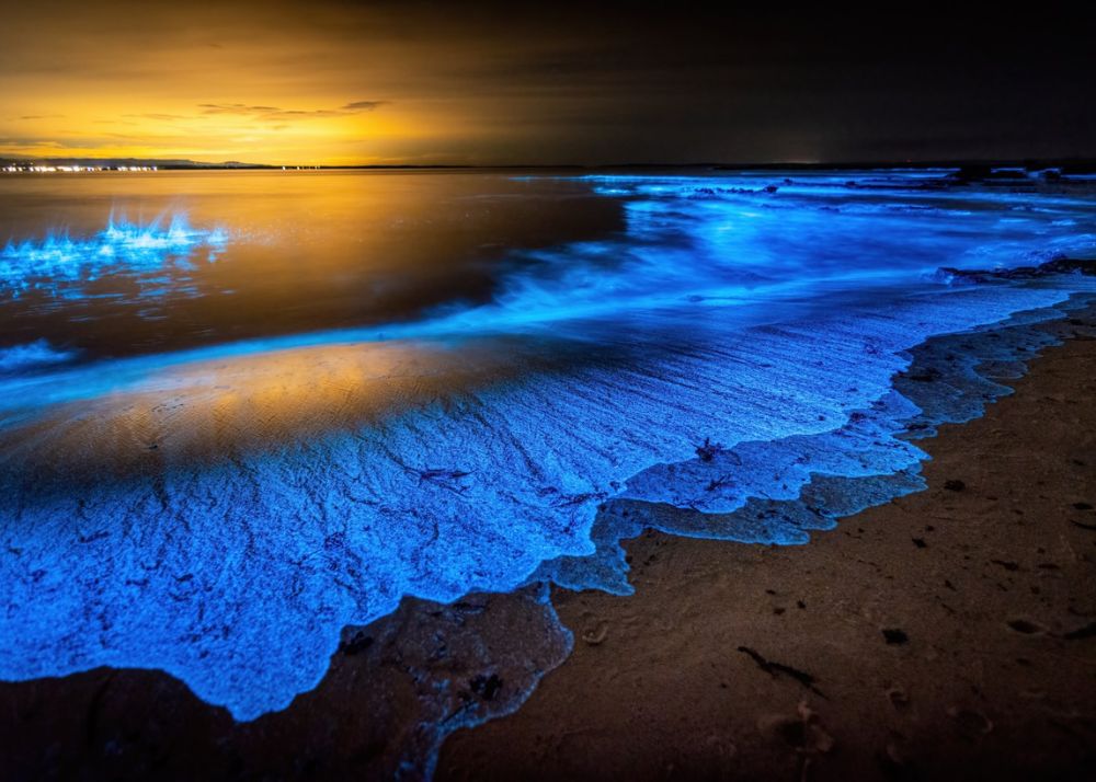 Bioluminescent Bays In The World