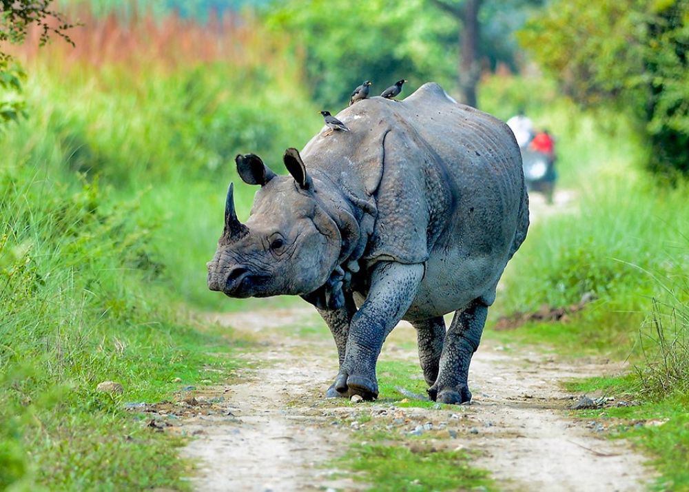 best places to visit in northeast India