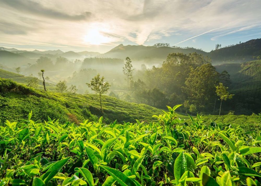 most beautiful tourist spots of Kerala