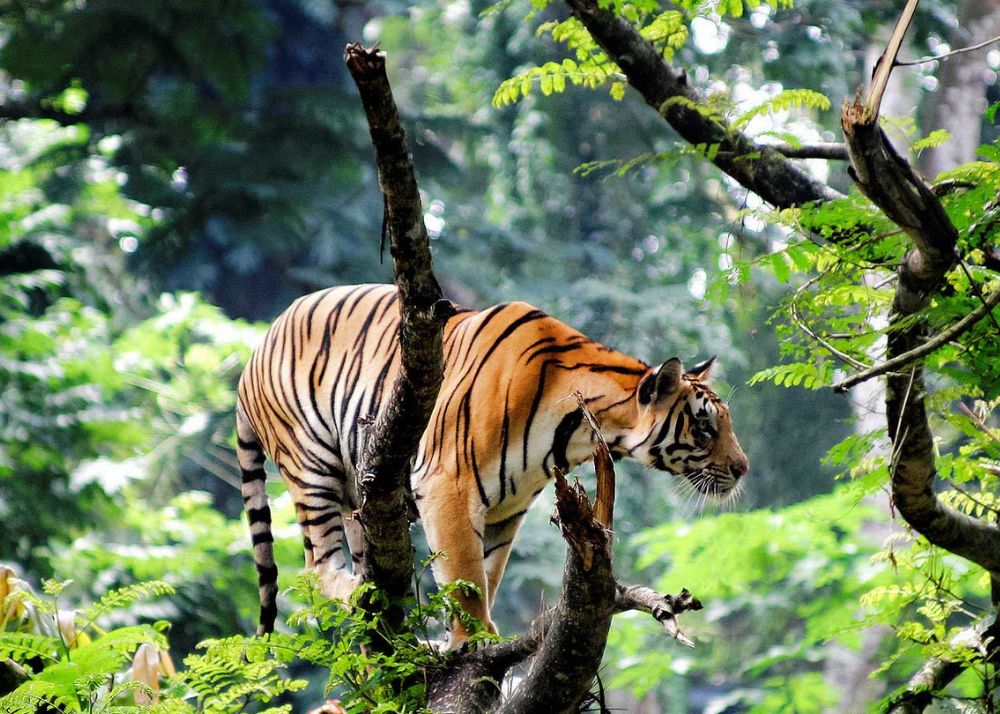 Best places to visit in Kerela