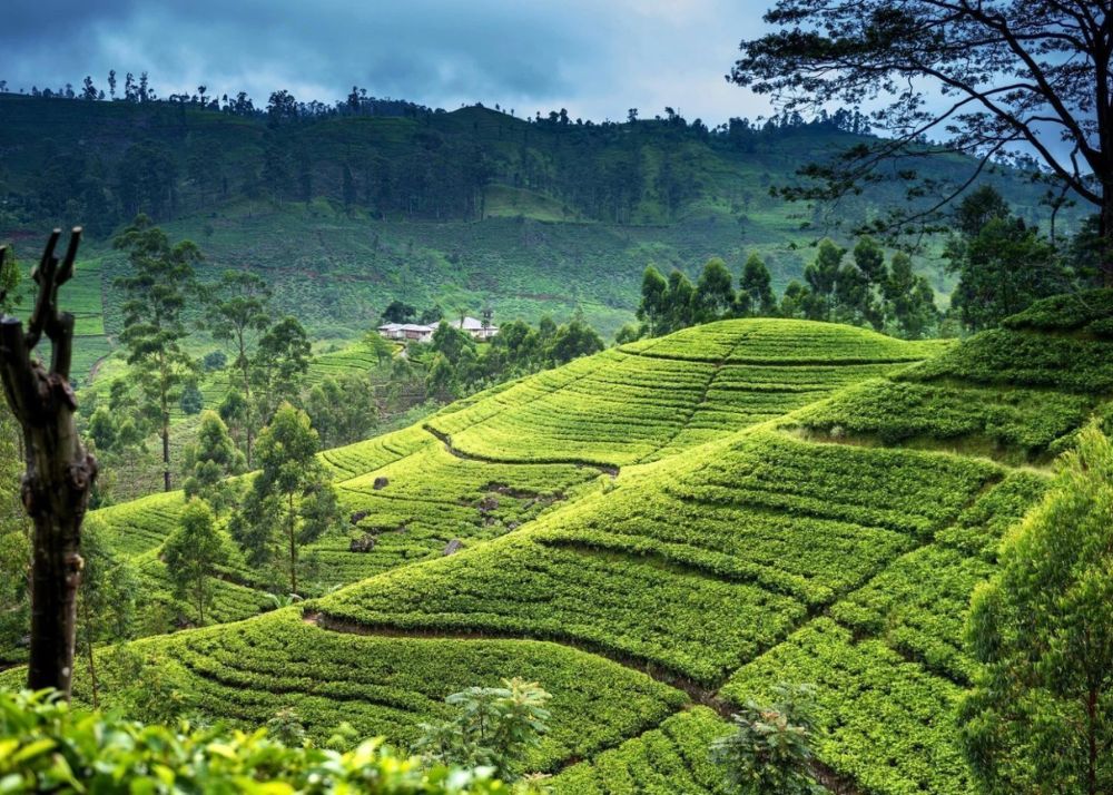 most beautiful places in the world.