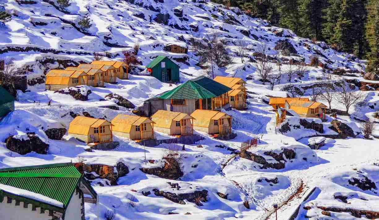 Auli