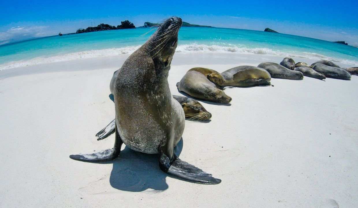 Galapagos Islands, Ecuador