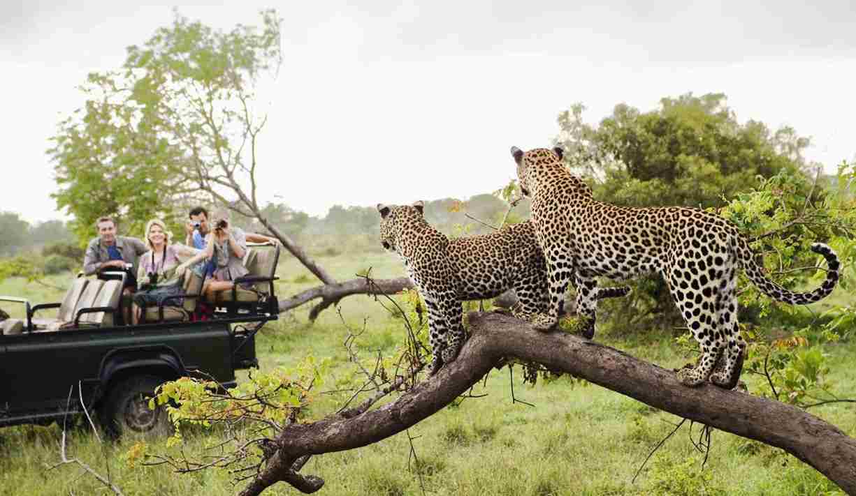 Kruger National Park, South Africa