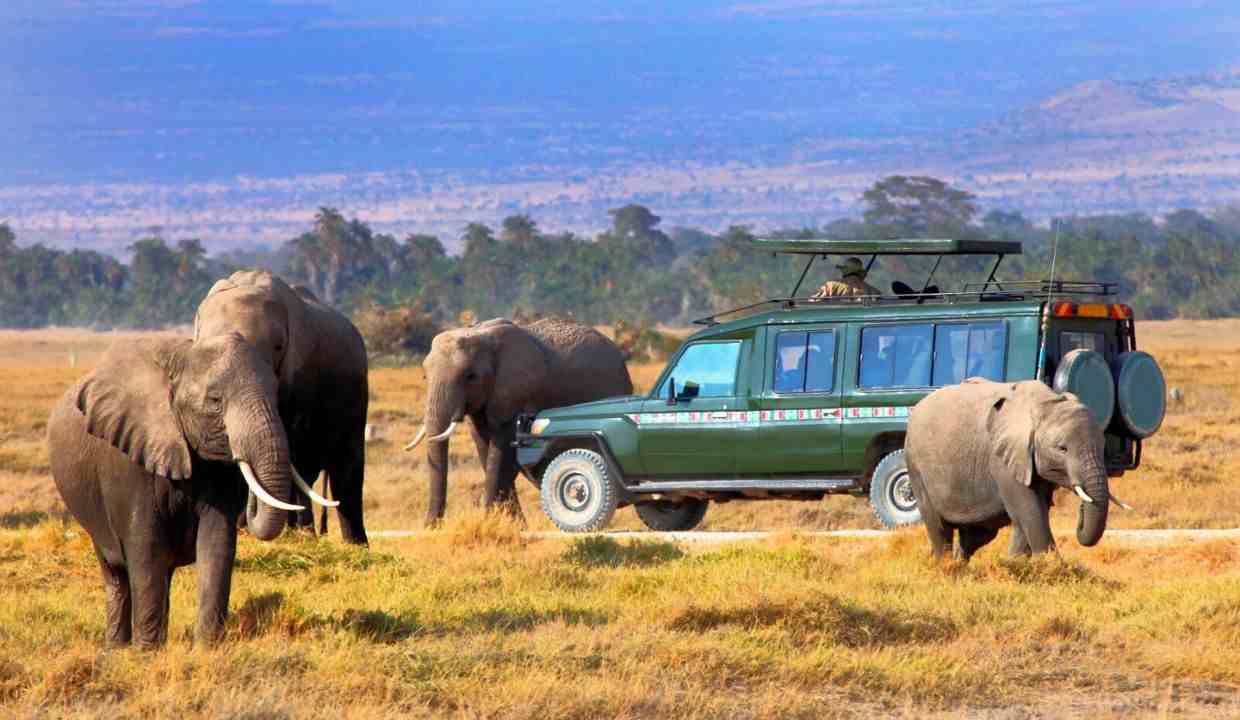 Maasai Mara National Reserve