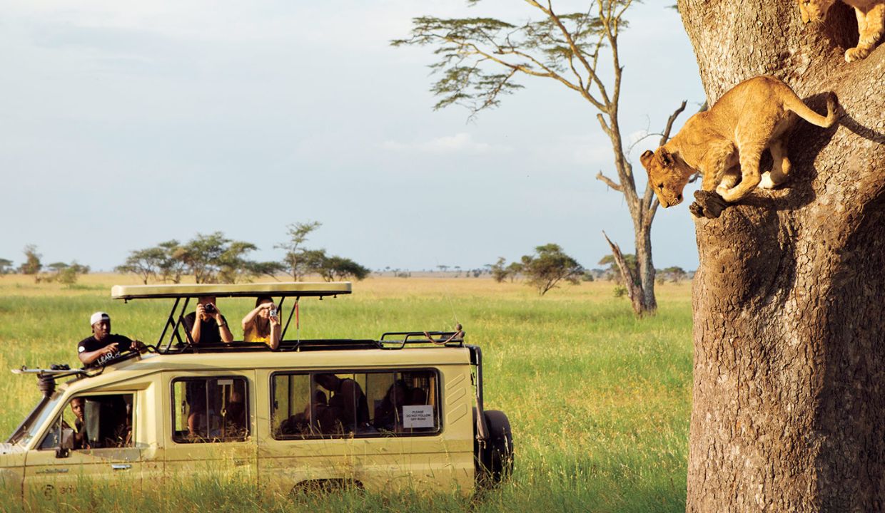 Serengeti National Park, Tanzania