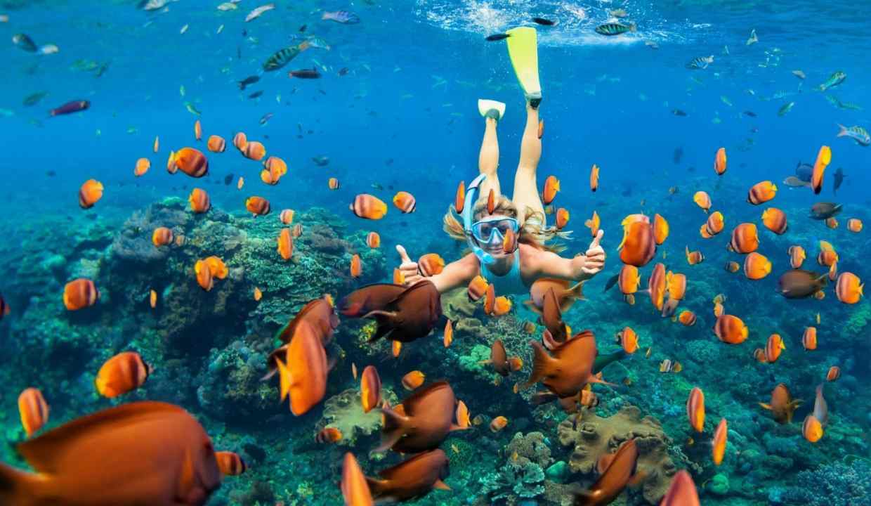 Banana Reef, Maldives
