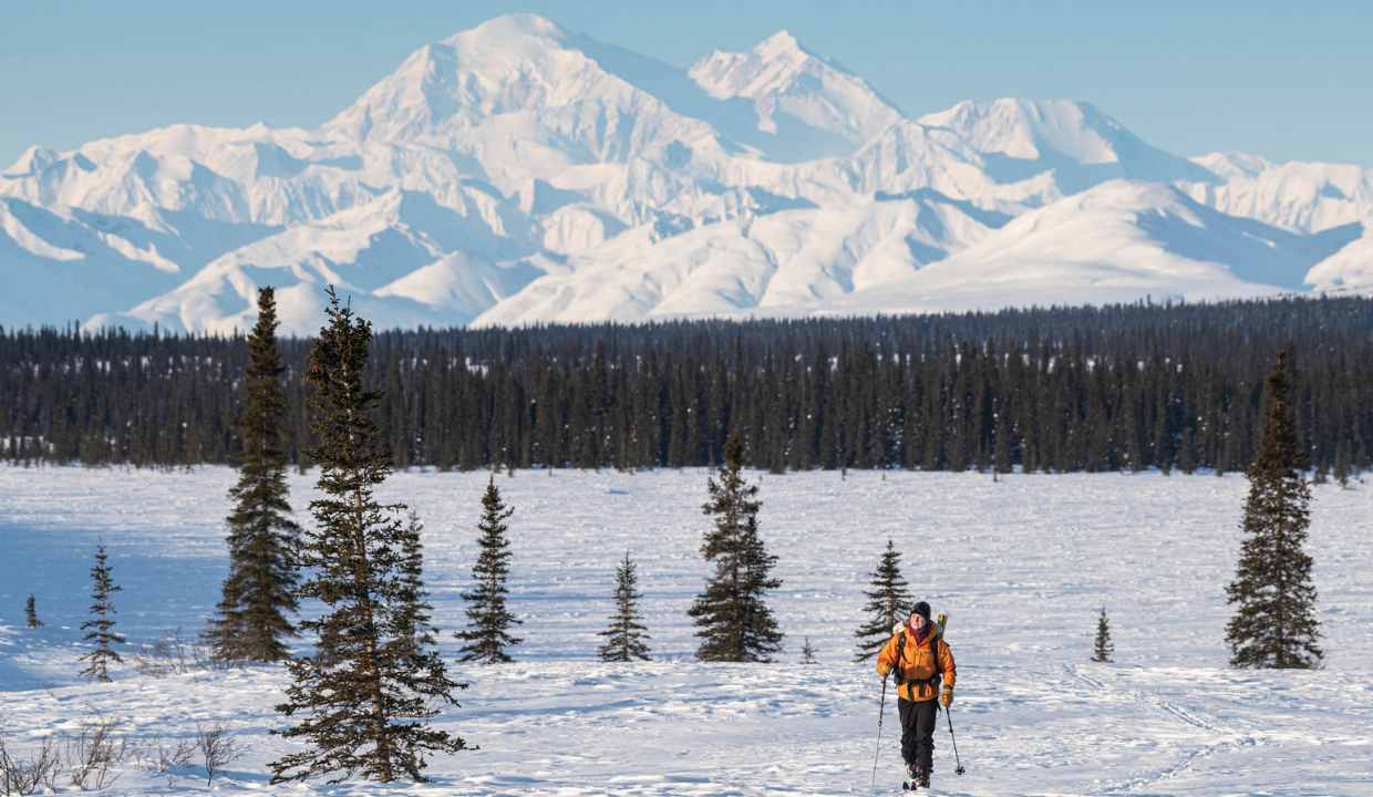 Denali National Park and Preserve