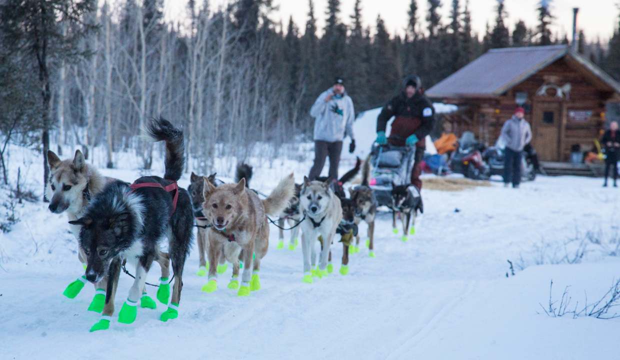 Iditarod National Historic Trail