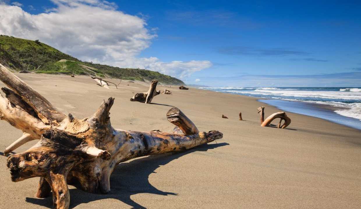 Sigatoka Sand Dunes National Park