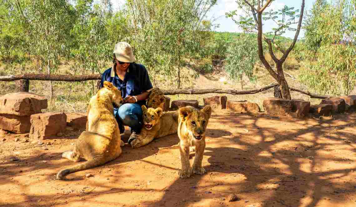 Avoid harmful wildlife practices