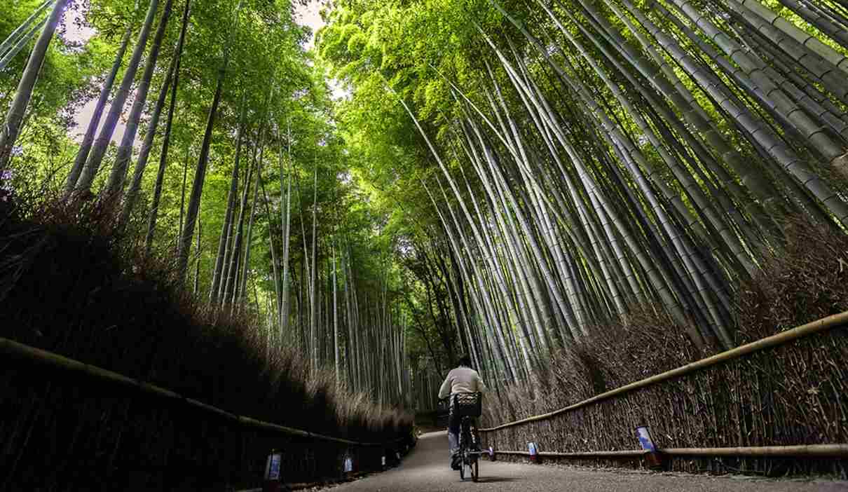 Kyoto, Japan