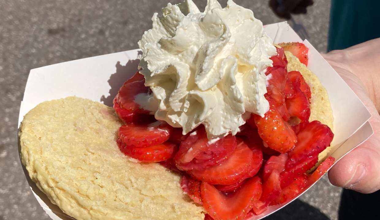 Strawberry Festival – Plant City, Florida
