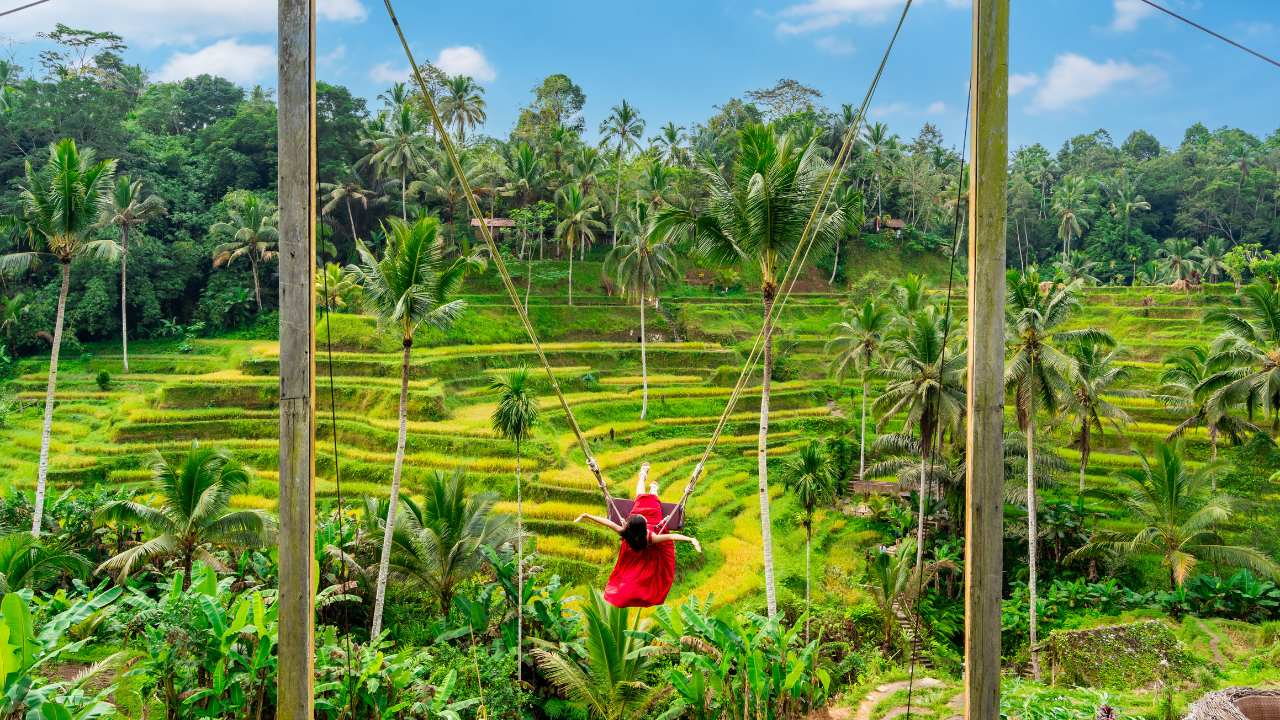 Bali Jungle Swing