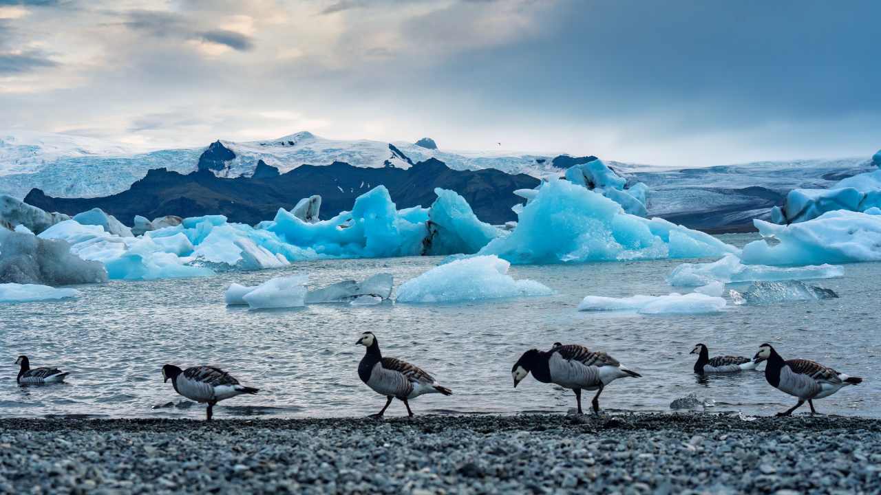 Jökulsárlón Glacier Lagoon
