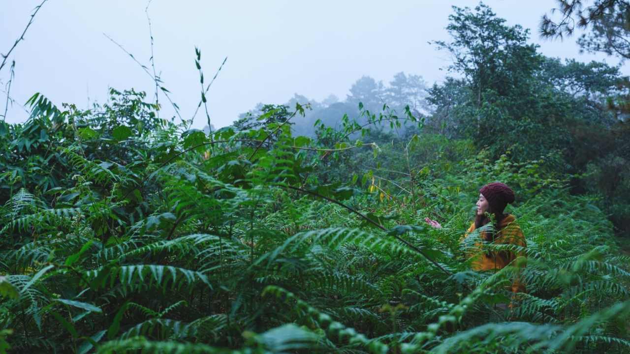 Coorg, Karnataka